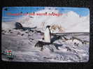 4458 Classe Ouverte  Manchot Penguin Lunde South Pole Sud Antarctic Antarctique  Phone Card Carte Telephonique - Pingouins & Manchots