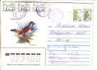 GOOD RUSSIA Postal Cover To ESTONIA 1996 - Bird - Good Stamped - Covers & Documents