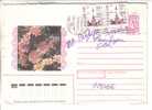 GOOD RUSSIA Postal Cover To ESTONIA 1996 - Good Stamped - Lettres & Documents