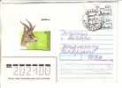 GOOD RUSSIA Postal Cover To ESTONIA 1997 - Good Stamped - Cartas & Documentos