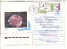 GOOD RUSSIA Postal Cover To ESTONIA 1995 - Good Stamped - Cartas & Documentos