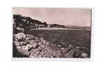 11 LA FRANQUI (Leucate) Plage, Vue Générale, Ed PAP 99, CPSM 9x14, 195? - Leucate