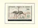 REPUBLIQUE CAMEROUN POSTE AERIENNE - Ostriches