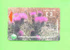 CYPRUS  -  Magnetic Phonecard As Scan - Chypre