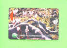 CYPRUS  -  Magnetic Phonecard As Scan - Cyprus