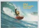 Australia Postcard Sent To Denmark 27-10-1993 With Meter Cancel Townsville - Sonstige & Ohne Zuordnung