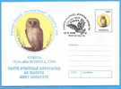 Little Owl, Owls, Birds Tyto Alba. ROMANIA Postal Stationery Cover 1998 - Eulenvögel