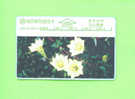 TAIWAN  -  Optical Phonecard As Scan - Taiwan (Formosa)