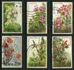 ● KENIA - 1983 - FIORI - N. 247 / 252  Usati - Cat. ? €  - Lotto 4 - Kenya (1963-...)