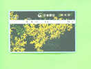 TAIWAN  -  Optical Phonecard As Scan - Taiwan (Formose)