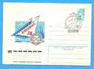 Stylized Seagull, Birds RUSSIA URSS Postal Stationery Cover 1978 - Marine Web-footed Birds