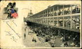 ATLANTIC CITY N.J. U.S.A. NEW STEEL PIER 1902 - Atlantic City