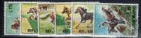 SAN MARINO 1966 -- SPORT EQUESTRI -- **MNH - Unused Stamps