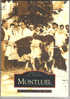 Livre MONTLUEL,Ain,"Memoires En Images";Perceveaux / Bernard; Cartes & Photos:Pétanque,Soie,Aviation,128 Pages,ed Sutton - Bücher & Kataloge