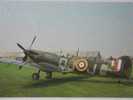Fighter Supermarine Spitfire 5B  RAF - 1939-1945: 2a Guerra
