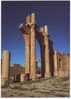 ALGERIE - CP - TEBESSA - Basilique - Ruines Romaines - Neuve - Tebessa