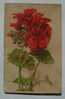 Germany Flora Flower Geranium Painting Art - 1911 Farbenchtdruck V. Martin Kommel & Co. Hofkunstanstalt Stuttgart - Plantas Medicinales