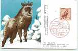 JAPON   CARTE MAXIMUM ANTILOPE - Cartes-maximum