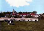 ARNOUVILLE LES GONESSE LE VIEUX PAYS VACHES FERME 95 VAL D OISE - Arnouville Les Gonesses