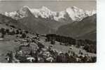 Beatenberg Waldegg, Eiger Mönch Jungfrau - Wald