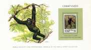 Republique Populaire Du Congo 1978.Chimpanzee. Chimpanzé. Pan Troglodytes.Afrikaanse Mensaap. Chimpansee. Stamp ** MNH. - Scimpanzé