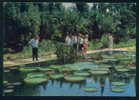 Sukhumi / Soukhoumi - BOTANICAL GARDEN - Stationary Georgia Géorgie 108158 - Georgia