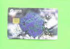 CHINA  -  Chip Phonecard As Scan - China