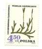 1967 - Polonia 1628 Piante Officinali C472     ------ - Vegetables