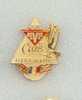 Rare Pin´s Billard Club Alvis - Biliardo