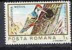 Romania 1983 -   Dendrocopus Medius, 1 Stamp, MNH - Spechten En Klimvogels