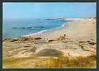 29 (FINISTERE) - LESCONIL : La Grand Plage, Edit. Artaud (non Circulée) - Lesconil