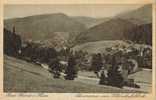 CPSM BAD GRUND IM HARTZ (Allemagne-Basse Saxe) - Panorama Vom Schonhofsblick - Bad Grund