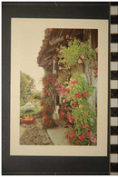 FERME BRESSANE FLEURIE COTE DE BOURG EN BRESSE - Autres & Non Classés