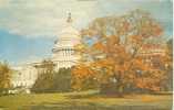 USA – United States – Washington DC – The Capitol 1950s – Unused Chrome Postcard [P3051] - Washington DC