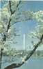 USA – United States – Washington DC - Washington Monument - Unused Postcard [P3057] - Washington DC