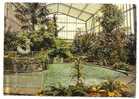 MANNHEIM-BOTANIC HAUS-not Traveled - Mannheim