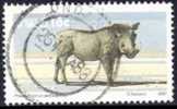 South West Africa - 1980 Definitive 16c Warthog Used - Gibier