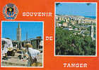MOROCCO - AK68545 Souvenir De Tanger - Tanger