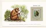 Algeria 1981. Algerie. Barbary Ape. Macaca Sylvanus.Macaque Berbere. Berberaap. Singe. BerberaffeWWF. MNH**Good. New!  . - Affen