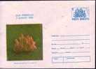 ROUMANIE MINERAUX, Minerals, Entier Postal-postal Stationary: Quartz Rose-  55-90. Emis En 1990 - Mineralen