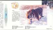 Manchurian Tiger , Rare Animal    , Pre- Stamped Card , Postal Stationery - Rinocerontes