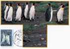 Australian Antarctic Territory 1993 $1.50 King Penguin Maximum Card - Maximumkaarten