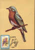 Romania- Maximum Postcard,maxicard-  Birds,  The Eastern Blue Bird(the Thrush); Le Muguet - Mussen