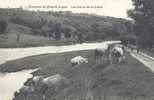 FEURS Loire 42 : Aux Environs : Les Bords De La Loire Un Troupeau De Vaches Et La Fermière ( Cow Kuh ) - Feurs