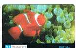 SVIZZERA (SWITZERLAND) - VT (REMOTE) - PESCI: CLOWN FISH  FRSV 10    - USED  -  RIF. 4157 - Peces