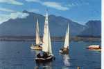 Hilterfingen Am Thunersee, Segelschule, Niesen 1976 - Hilterfingen