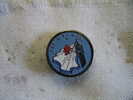 Pin's EDF: ORI Nord - EDF GDF