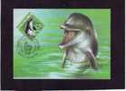 RUSSIA, MAXIMUM CARD, - Dolfijnen