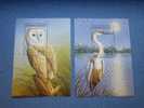 Madagasikara 1998 - 2 Mini Sheet Of Bird Nature Animal Owl Stamps MNH - Gufi E Civette