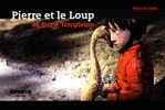 PIERRE ET LE LOUP  OIE Et JEUNE GARCON  Suzie Templeton - Fairy Tales, Popular Stories & Legends